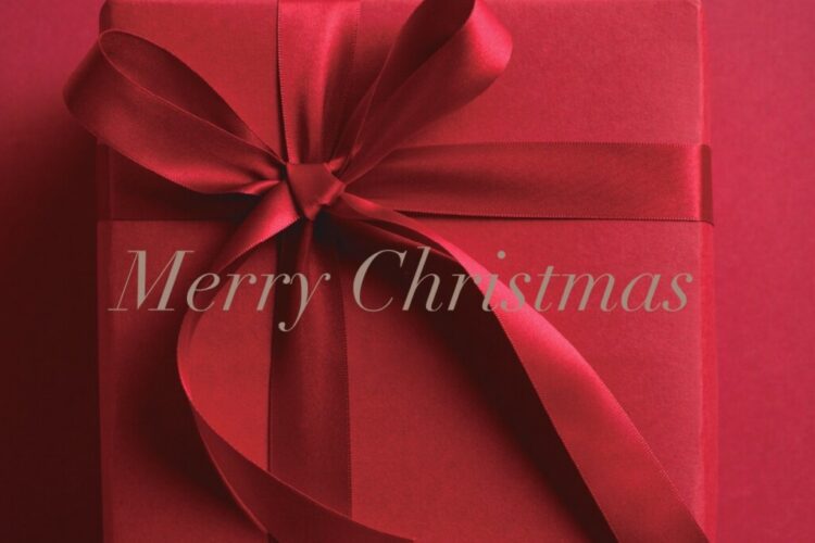 🎄クリスマス🎄SPECIALプラン登場✨